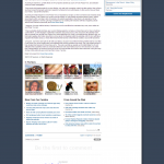 Forex Peace Army | Unregulated Forex Fraud Press Release in WHNS-TV FOX-21 (Greenville, SC)